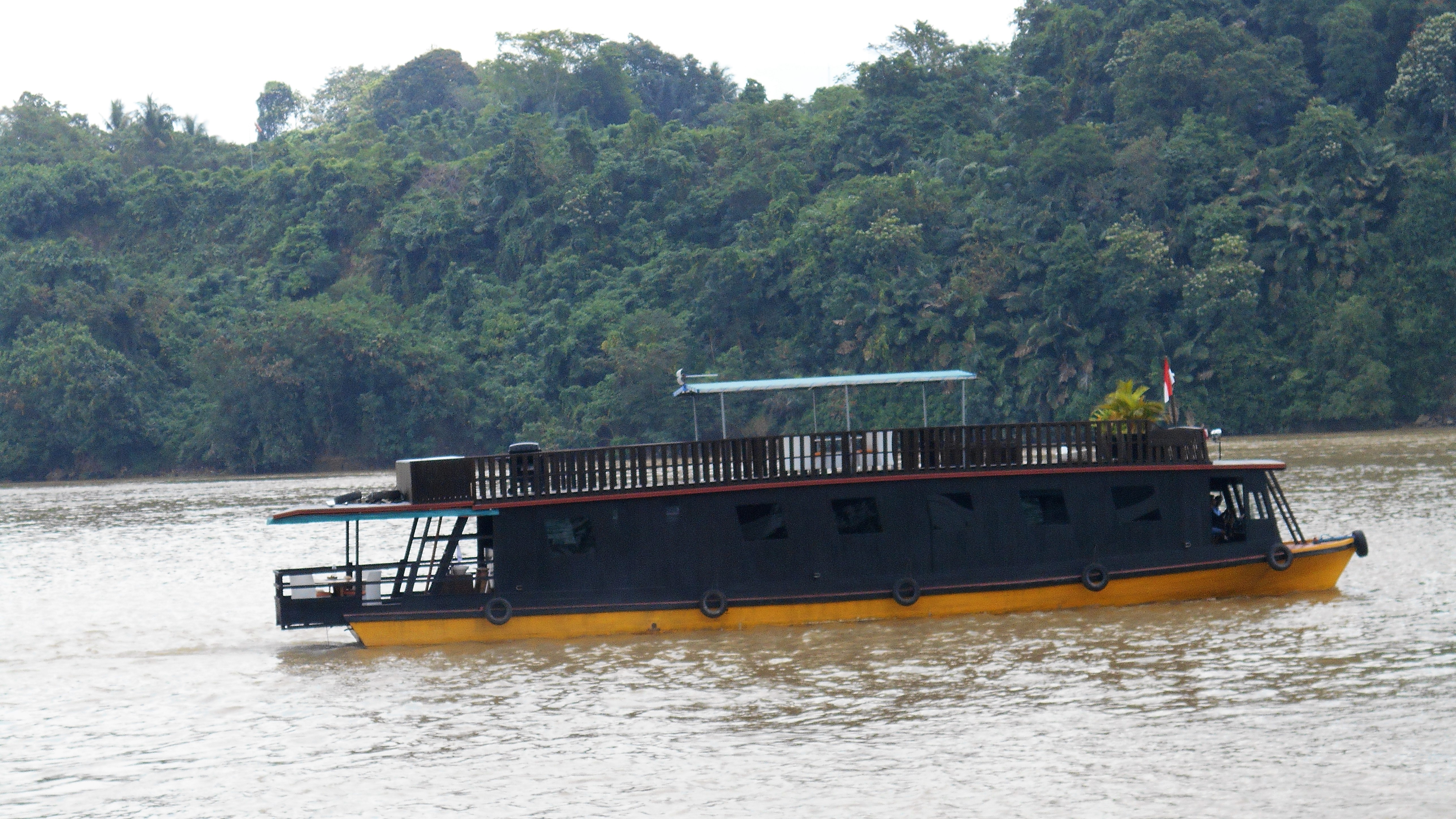 mahakam river, cruise, tour, trip, guide, houseboat, borneo, kalimantan, jungle, dayak, culture, wildlife, rain forest